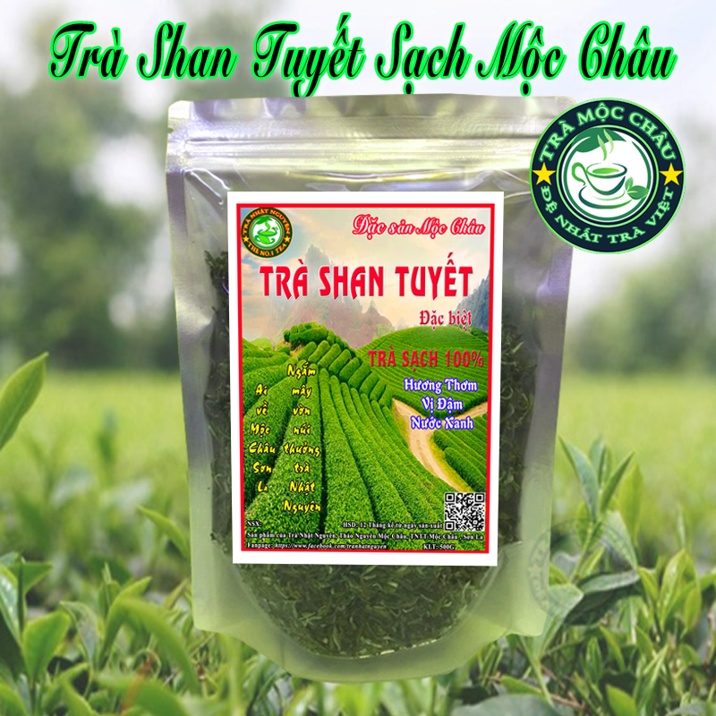 Trà Shan Tuyết Sạch Mộc Châu 500g - Trà Mộc Châu Đặc Sản - Nước Trà Xanh Hương Trà Thơm