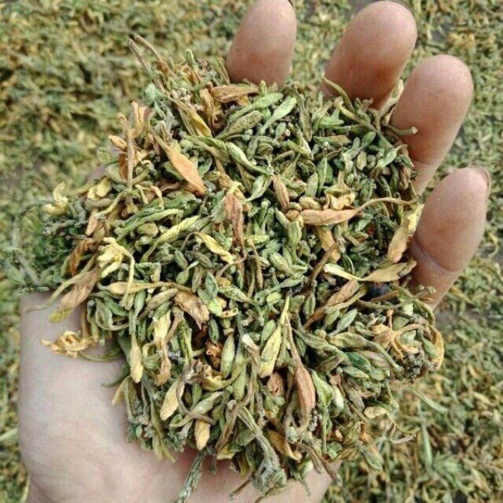 Hoa Đu Đủ Đực Khô 500gr