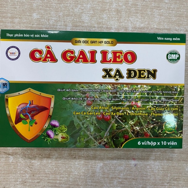 Cà gai leo xạ đen - Giúp bổ gan, giải độc gan, tăng cường chức năng gan - Hộp 60 viên