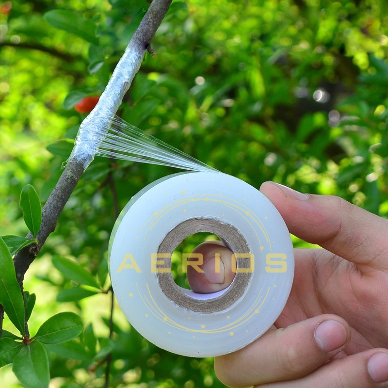 Giấy ghép cây tự hủy, băng keo ghép cây, màng ghép cành nối cây rộng 3cm dài 85m