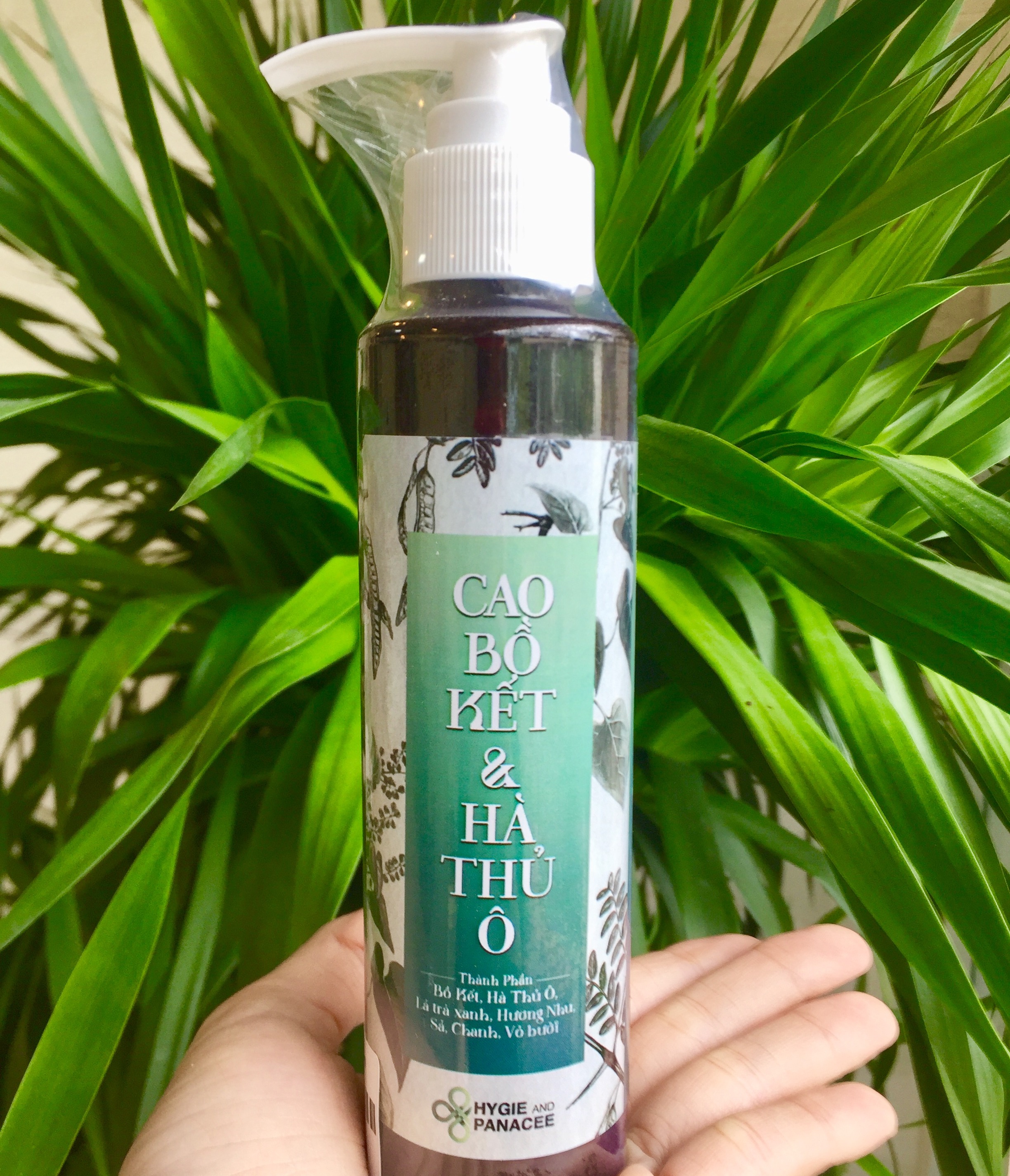 Cao Bồ Kết & Hà Thủ Ô