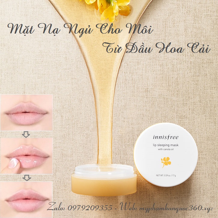 Mặt Nạ Ngủ Cho Môi Từ Dầu Hoa Cải Innisfree Lip Sleeping Mask with Canola Oil 17g