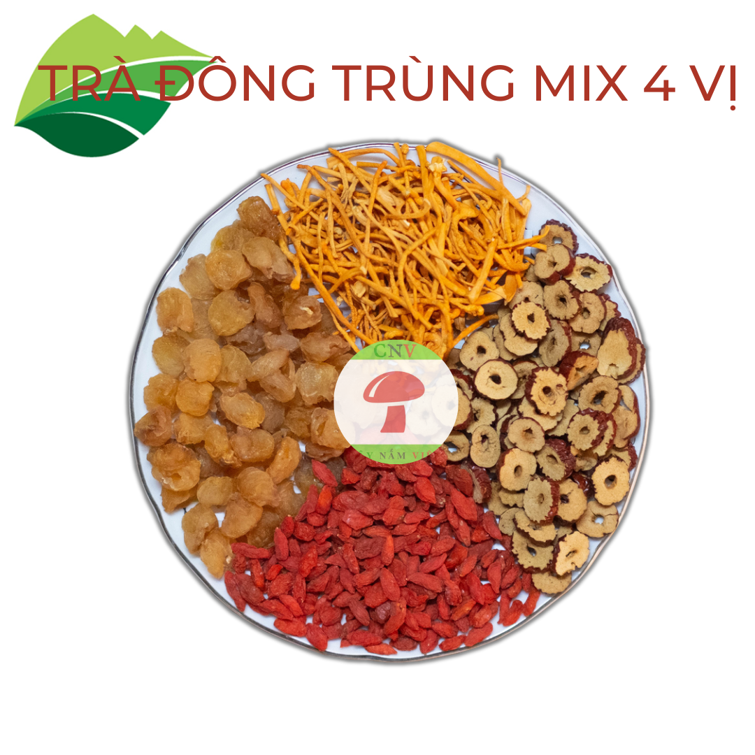 Trà đông trùng hạ thảo tứ vị mix long nhãn, táo đỏ, kỷ tử