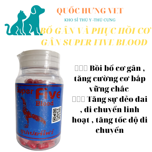 Phục hồi gân cơ xương, thu.ốc gà tơ cho gà chọi gà đá super five blood- quốc hưng vet