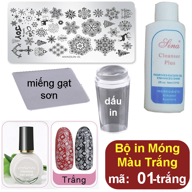 Bộ Khuôn in Móng Tay Nhiều hình