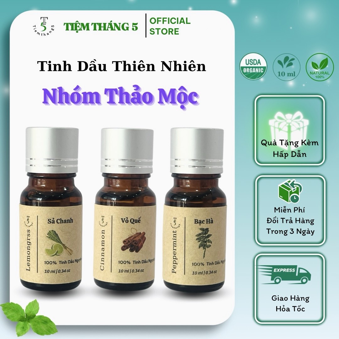 Tinh dầu hương thảo mộc thiên nhiên nguyên chất 100% tiệm tháng 5 | nhóm thảo mộc