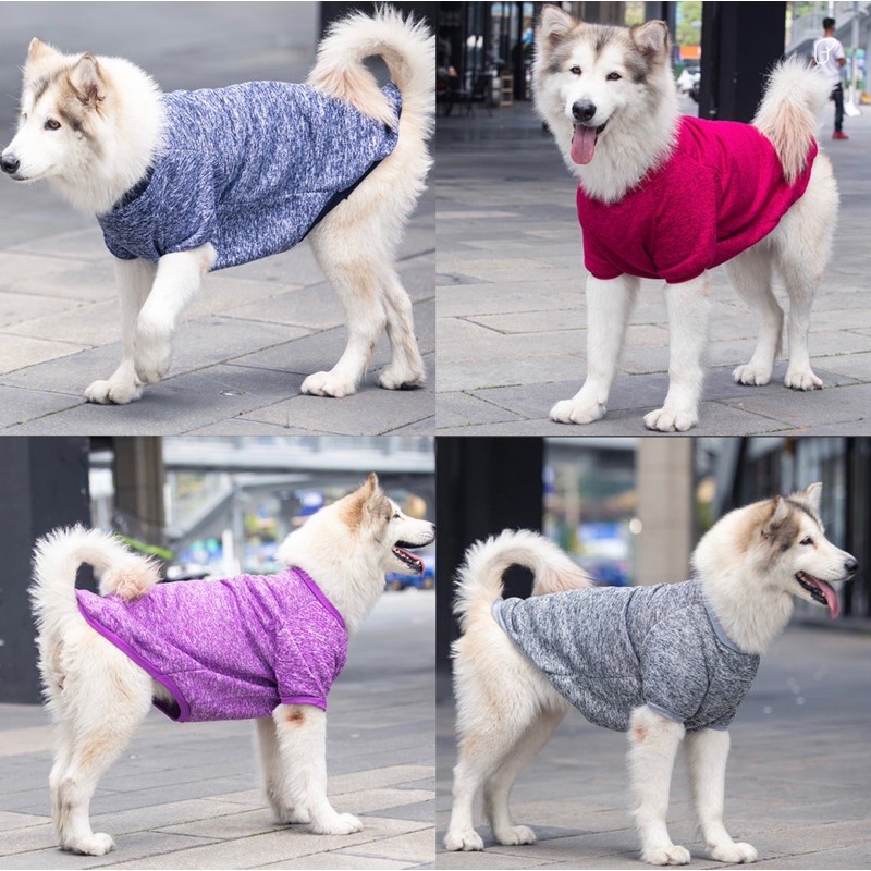 Áo Classic Size Đại Cho Thú Cưng