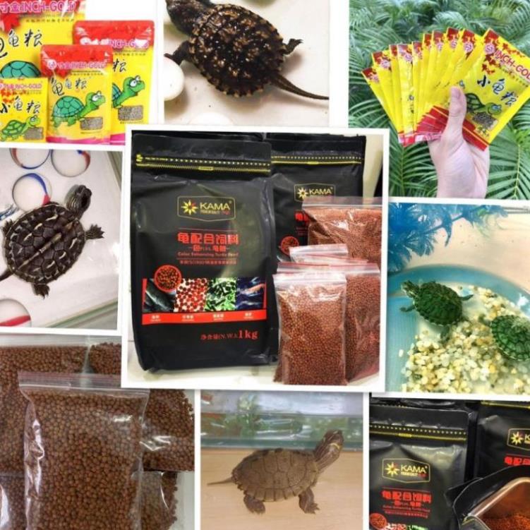 Thức ăn kích màu, giàu dinh dưỡng cho Rùa Nước KAMA
