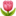 NƯỚC GIẶT DNEE