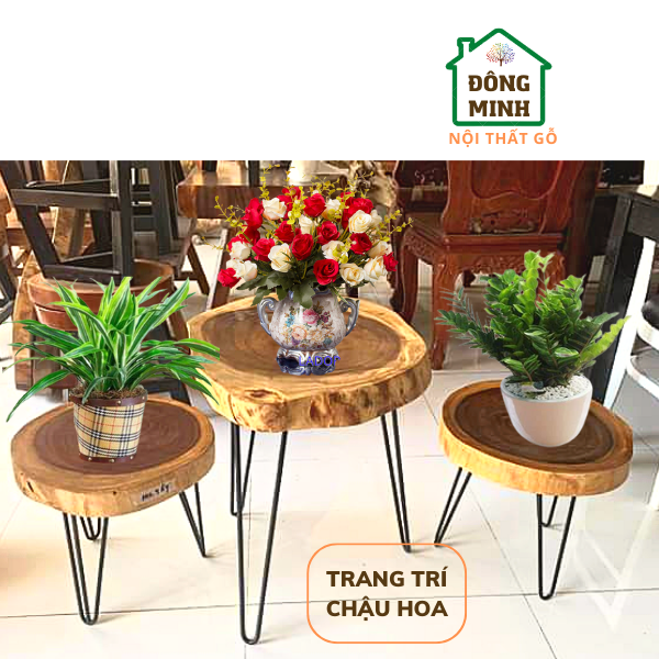 Mặt gỗ Me tây nguyên khối làm bàn trà, bàn decor trong nhà (size đại)