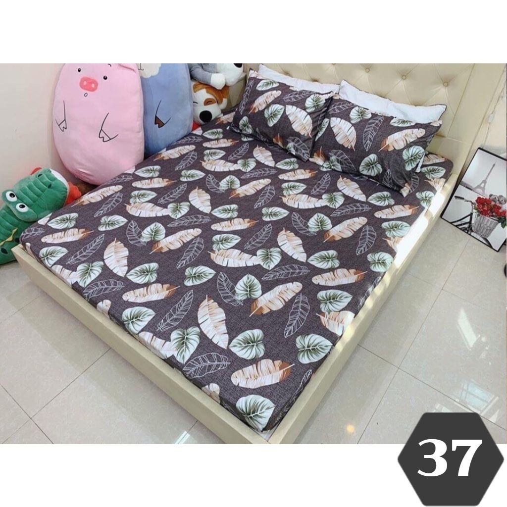 Bộ ga giường và vỏ gối poly m2/m6/m8
