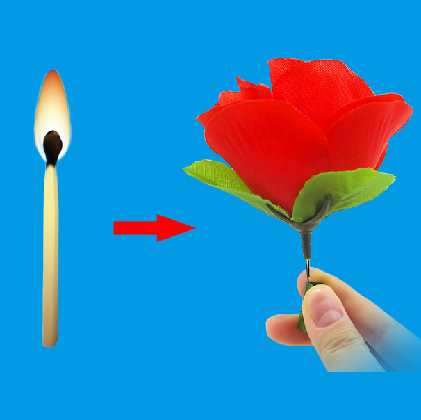 [HCM]ảo  thuật que diêm hóa hoa hồng