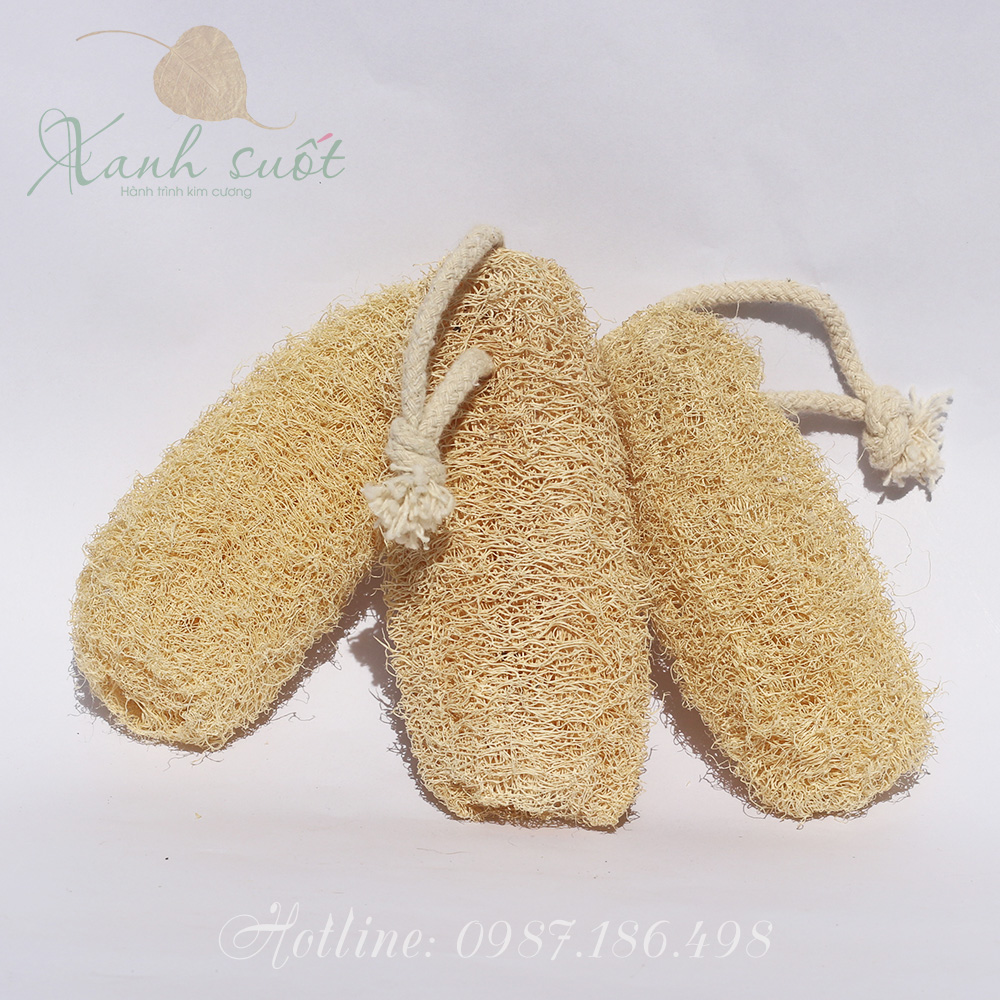 Xơ mướp nguyên trái- xơ mướp chuột- loofar