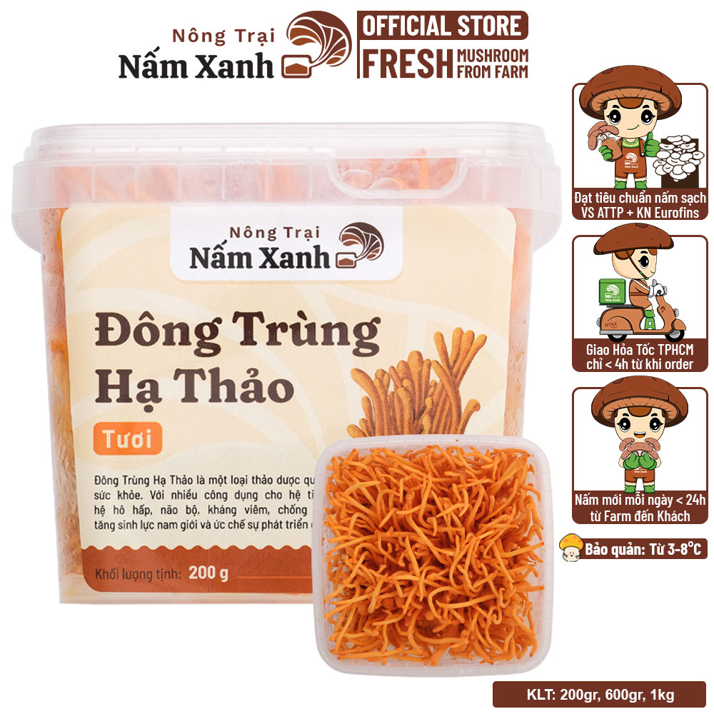 [HCM] Nấm Đông Trùng Hạ Thảo Tươi Sinh Khối Nguyên Chất Tươi Mới Mỗi Ngày - Nông Trại Nấm Xanh