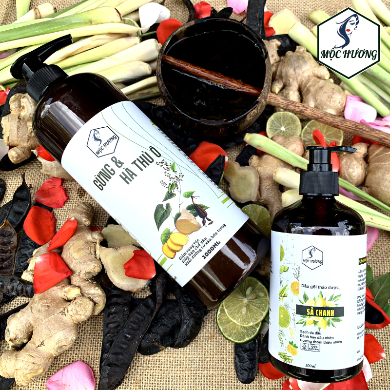 Dầu gội gừng, hà thủ ô - giảm khô gãy – mượt tóc – dưỡng mượt tóc