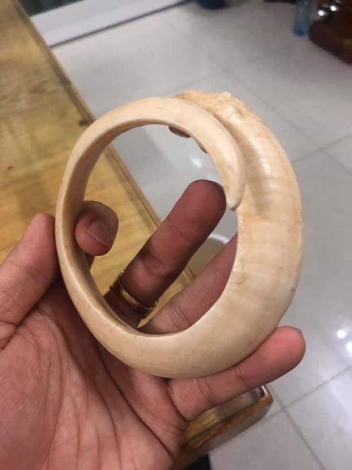 vòng tay nanh heo rừng