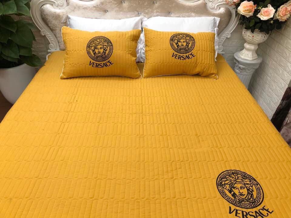 Chiếu đũi điều hòa siêu mềm siêu mát( tặng kèm 2 vỏ gối)