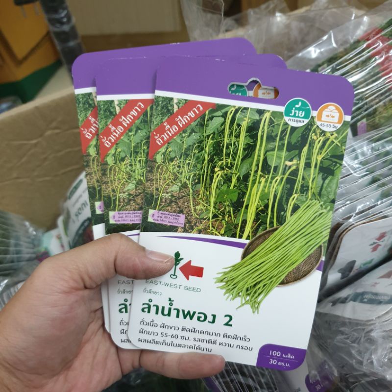 Hạt giống đậu đũa xanh siêu dài East West Seed. 100 hạt/gói. Hàng nhập Thái Lan. Tỉ lệ nẩy mầm cao