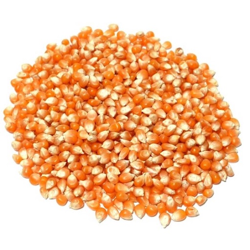 Bắp Nổ - Mỹ Làm Bắp Rang Bơ gói 1KG (2 loại Hình Nấm, Bắp Bướm)