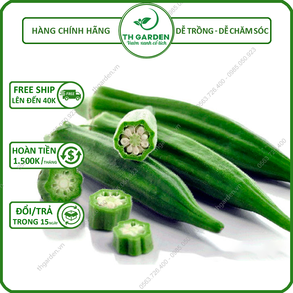 Hạt giống đậu bắp xanh th garden - hạt giống dễ trồng dễ chăm sóc, năng suất cao