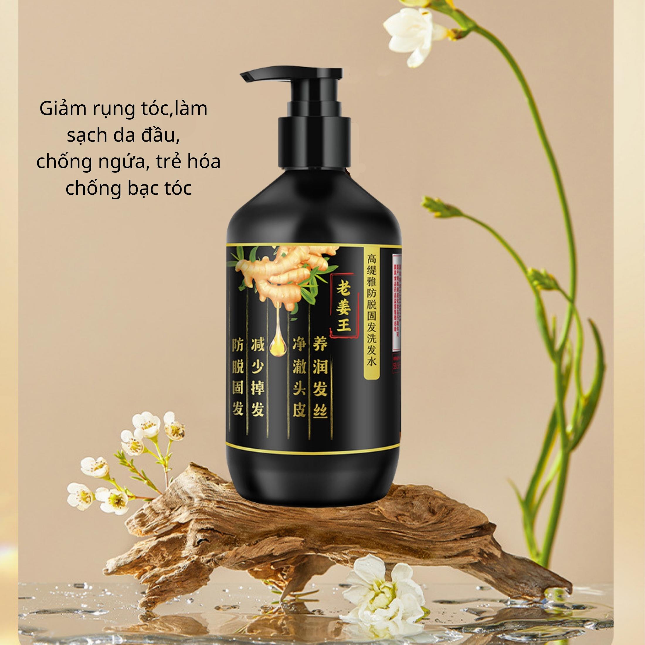 (Giá Sốc) Dầu Gội Đầu, Dầu Gội Gừng GINGER KING 500ml Chiết Xuất Từ Gừng Già Và Thảo Dược Chống Gãy Rụng Tóc Phục Hồi Hư Tổn Cho Bạn Mái Tóc Chắc Khoẻ Mềm mượt.