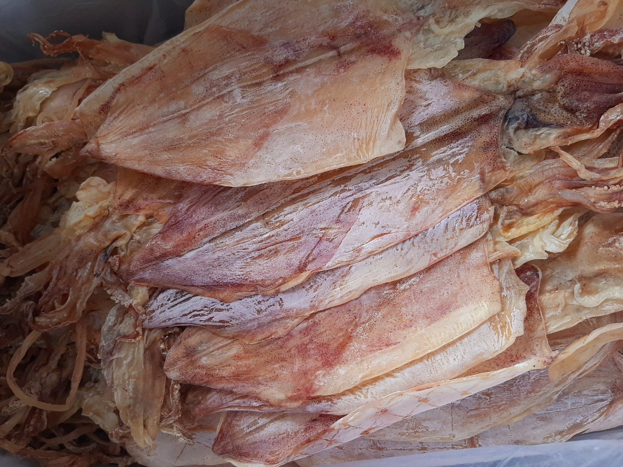 Khô mực câu nha trang size 18-24 con/ kg- giá 550k/ túi 0.5kg