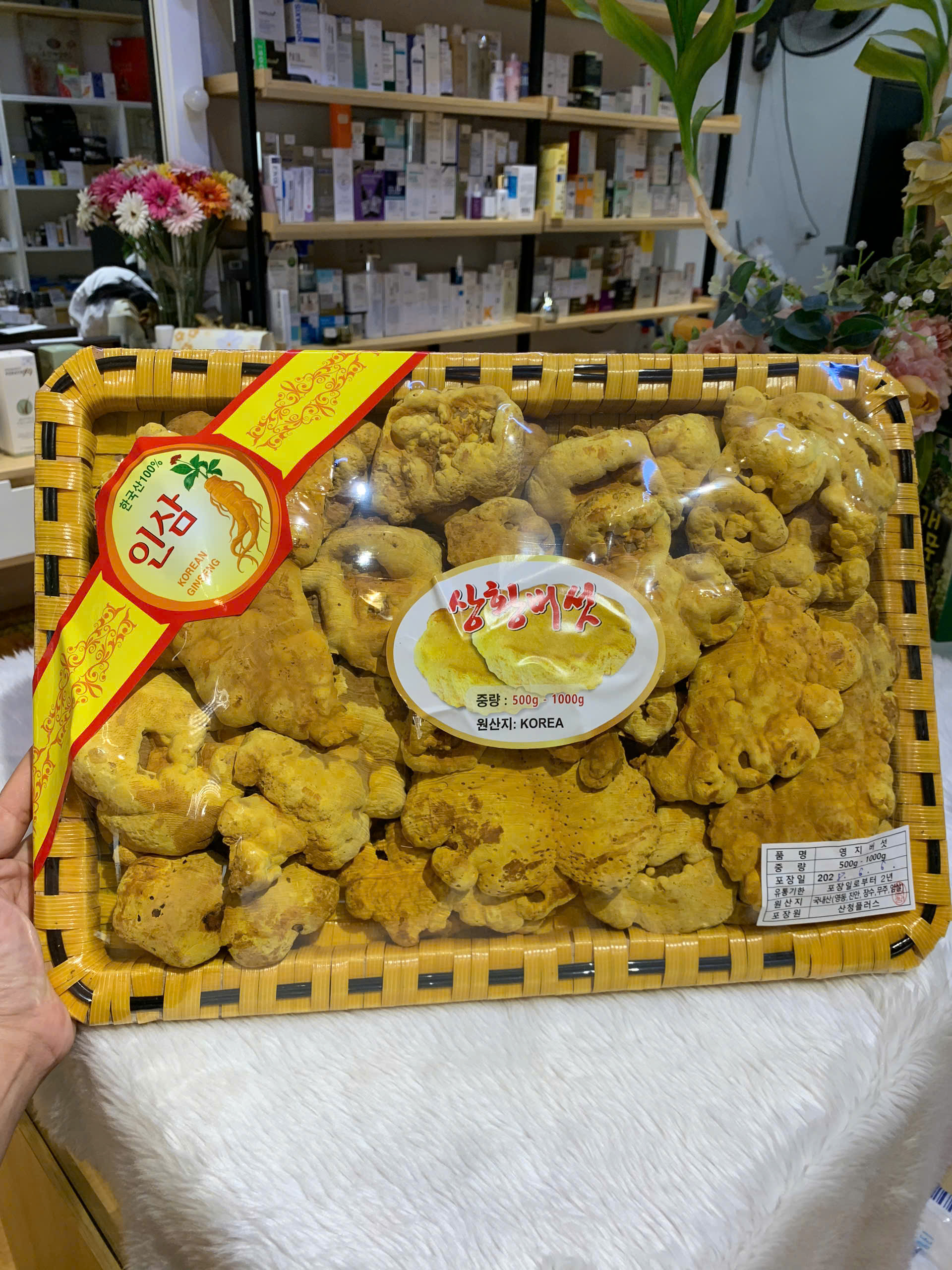 [SĂN DEAL]Nấm thượng hoàng Hàn Quốc khay 500g