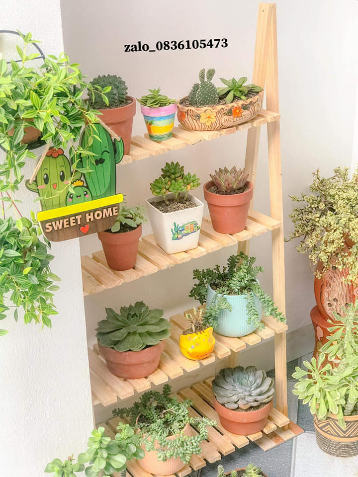Kệ chữ A để cây 4 tầng gỗ tự nhiên decor