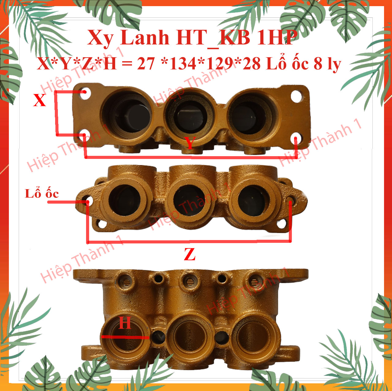 Xylanh đầu rửa xe 1hp & 2hp tq | hiepthanh1myluong