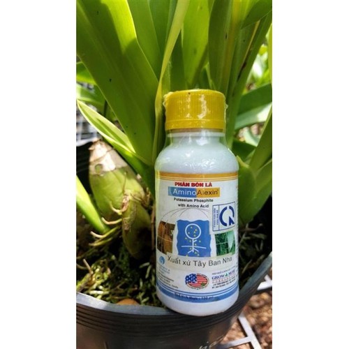 Phân bón amino alexin 100ml