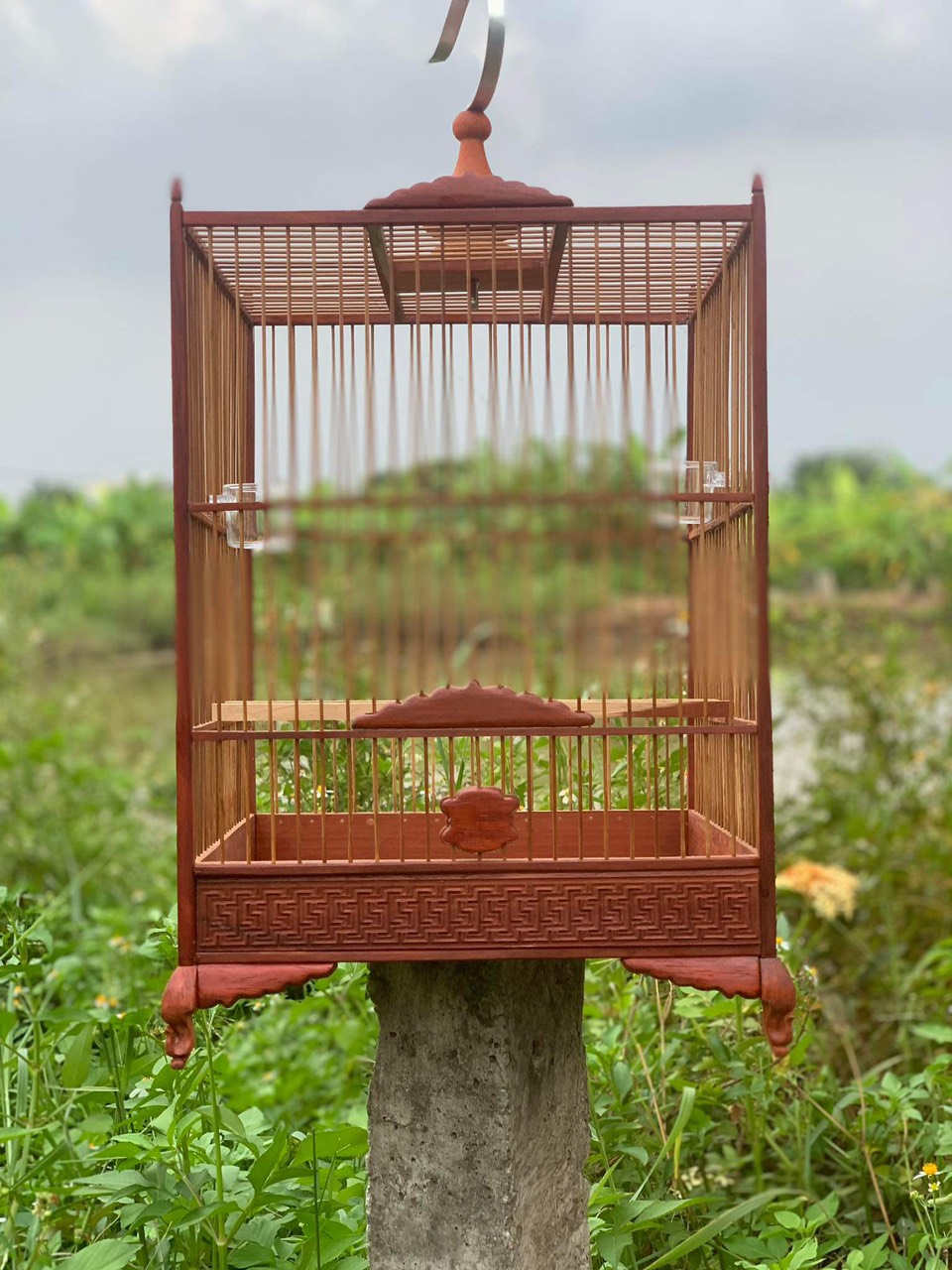 Khung lồng chim tự giáp hút mật gỗ hương đỏ hàng tuyển