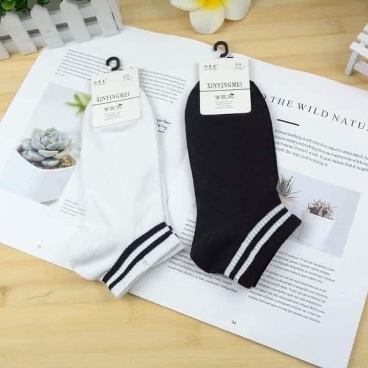 Sét 10 đôi tất cổ kẻ cotton hàn quốc