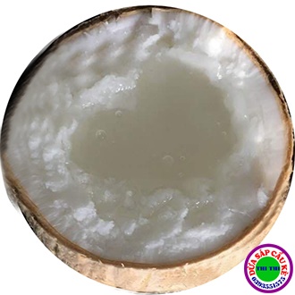 DỪA SÁP LOẠI 1 ĐẶC RUỘT (Trái 800gr-1Kg)