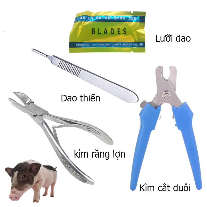 Bộ 3 kìm bấm răng lợn, kìm cắt đuôi heo, dao thiến bị số 4 tặng lưỡi dao số 23, kép cắt móng tay thú cưng, dụng cụ gia xúc đồ dụng thú cưng
