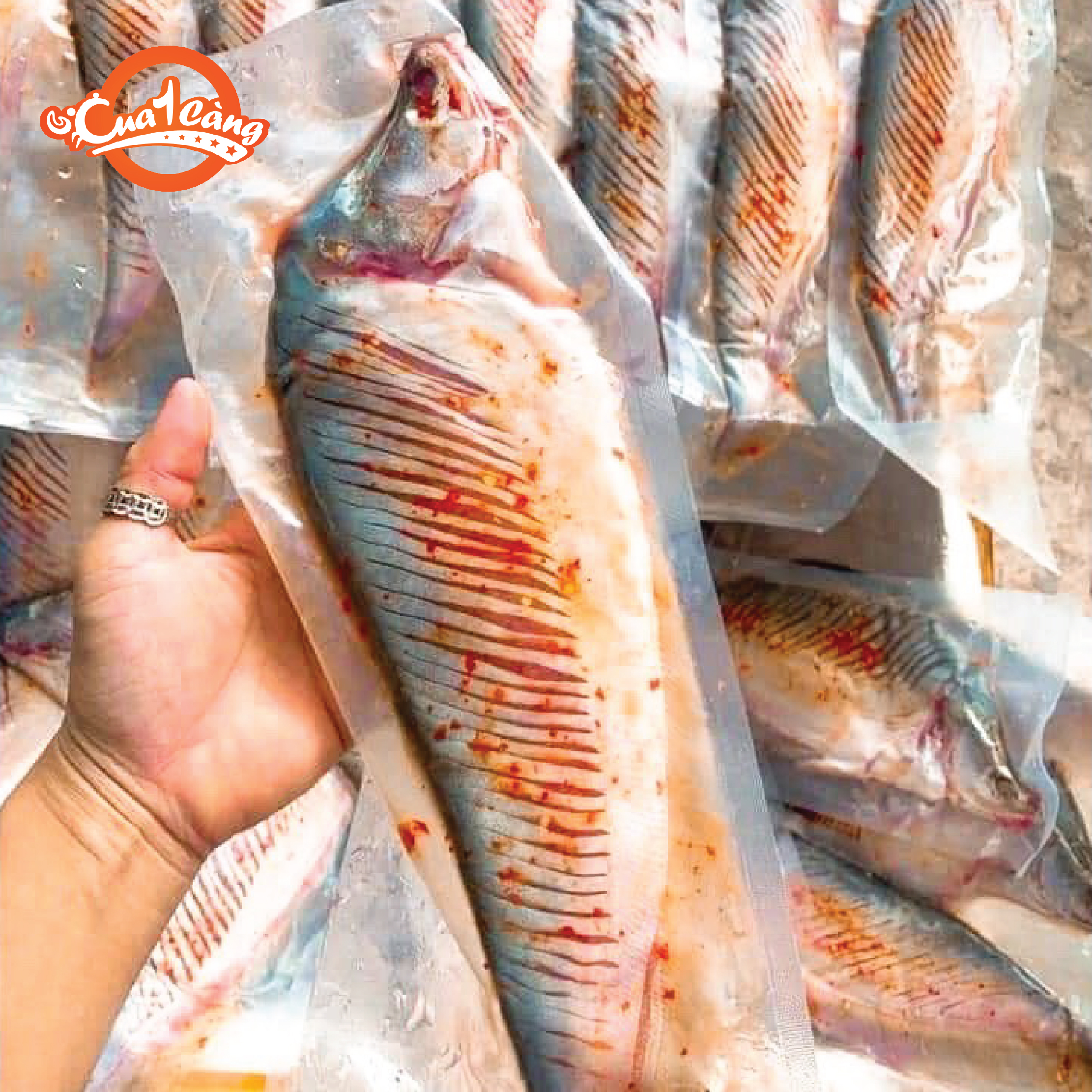 Cá thát lát rút xương 300g - 350g/con - giao nhanh 4h
