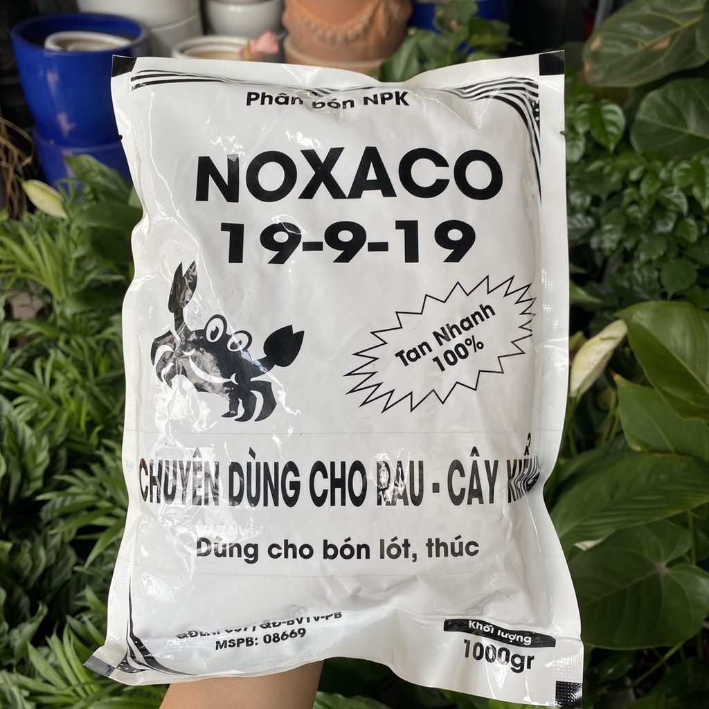 Phân NPK hồng 19-9-19 nhập khẩu chuyên dùng cho rau, cây kiểng