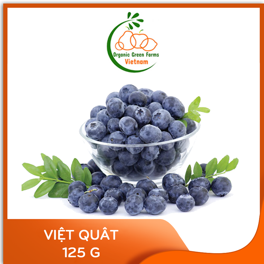 - việt quất mỹ -