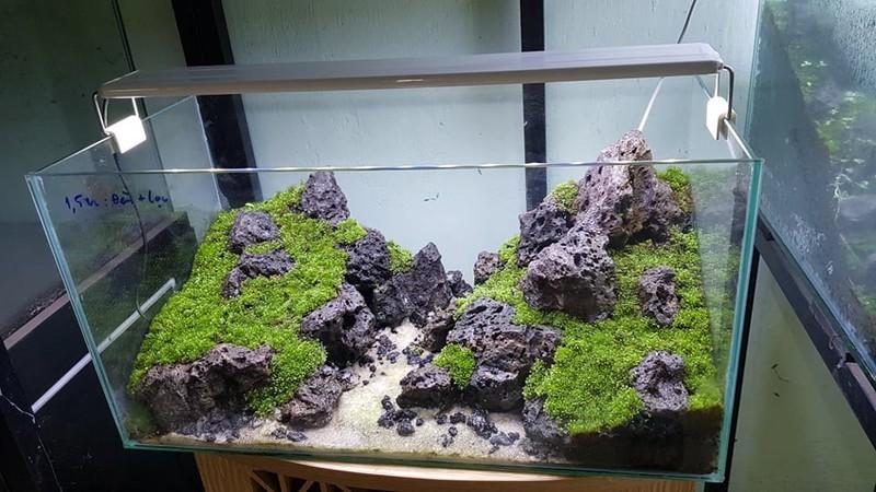 Combo 5kg đá Mối vân tuyệt đẹp