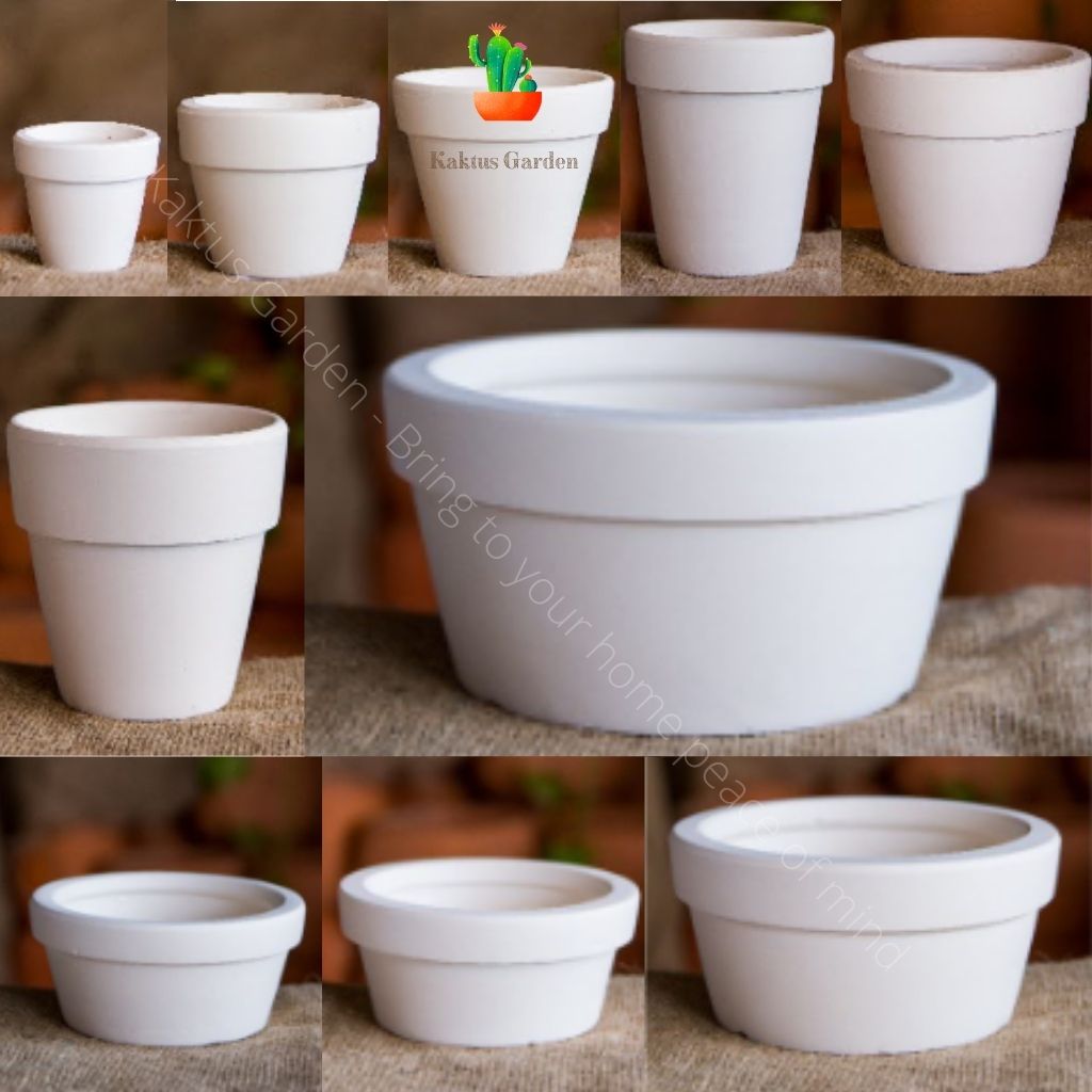 Chậu đất nung trắng - trồng sen đá xương rồng - Kaktus Garden