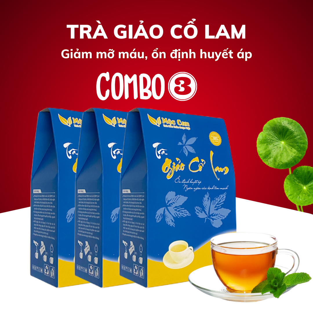 Combo 3 hộp trà giảo cổ lam mộc can hộp 25 túi lọc