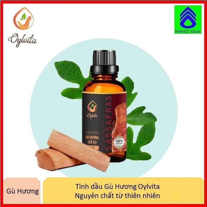 Tinh dầu Gù Hương (Xá xị) Oylvita nguyên chất thiên nhiên giải tỏa căng thẳng, hỗ trợ chứng mất ngủ, giảm đau nhức xương khớp, giảm ho, đuổi muỗi, thanh lọc không khí [PANSO Store]