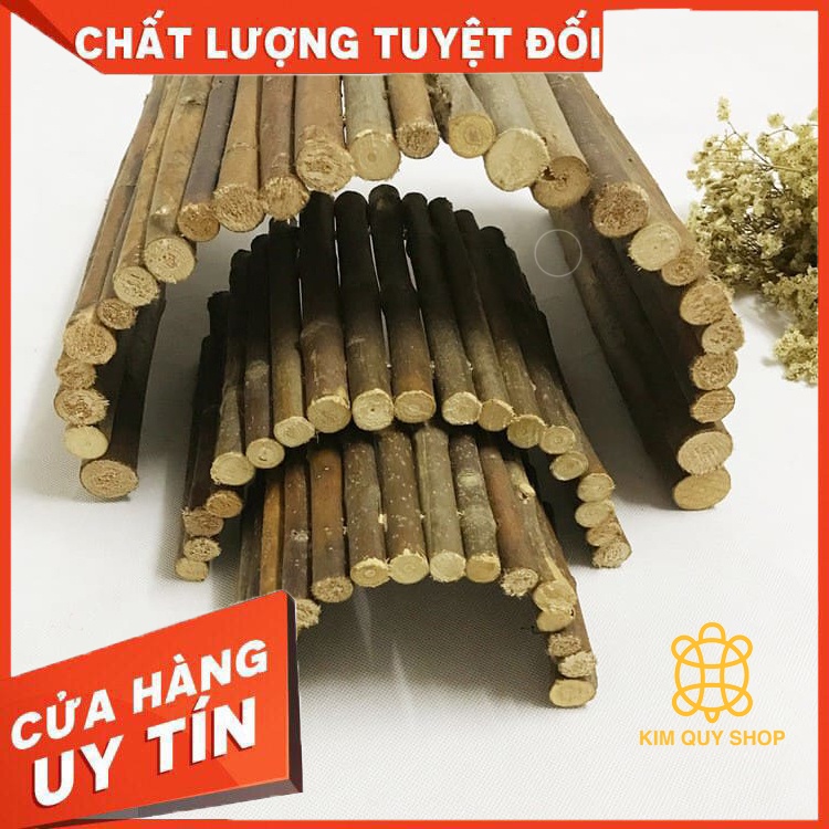 Hang trú cây
