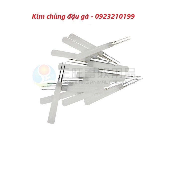 Kim chủng đậu gà 10 chiếc