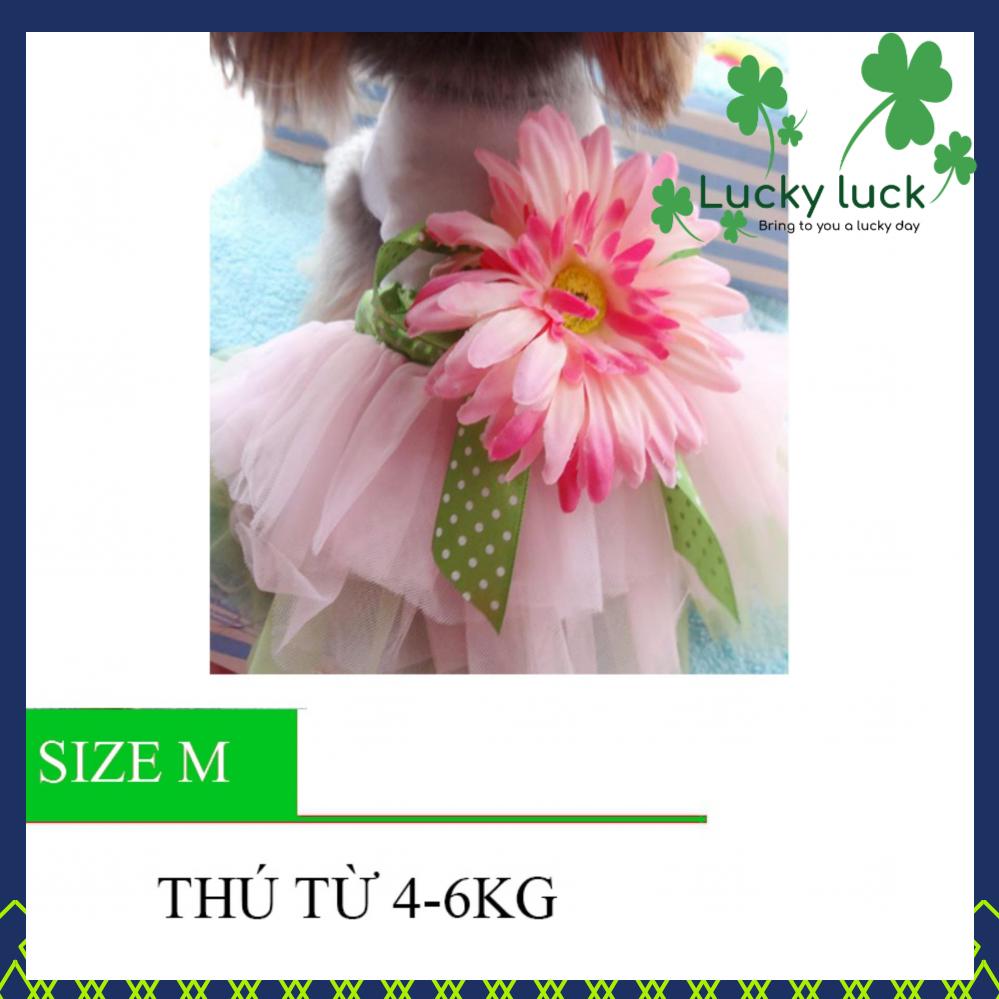 Quần Váy cho chó mèo - váy cho thú cưng - Quần áo chó mèo 018 Size M