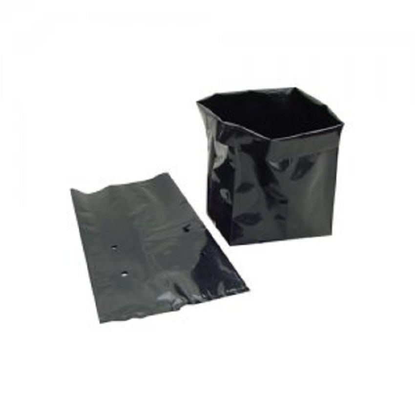 Túi bầu ươm cây giống 13x26 - nhiều size