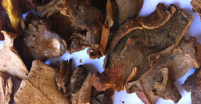 Cẩu tích khô 500gr hàng loại 1 GT192