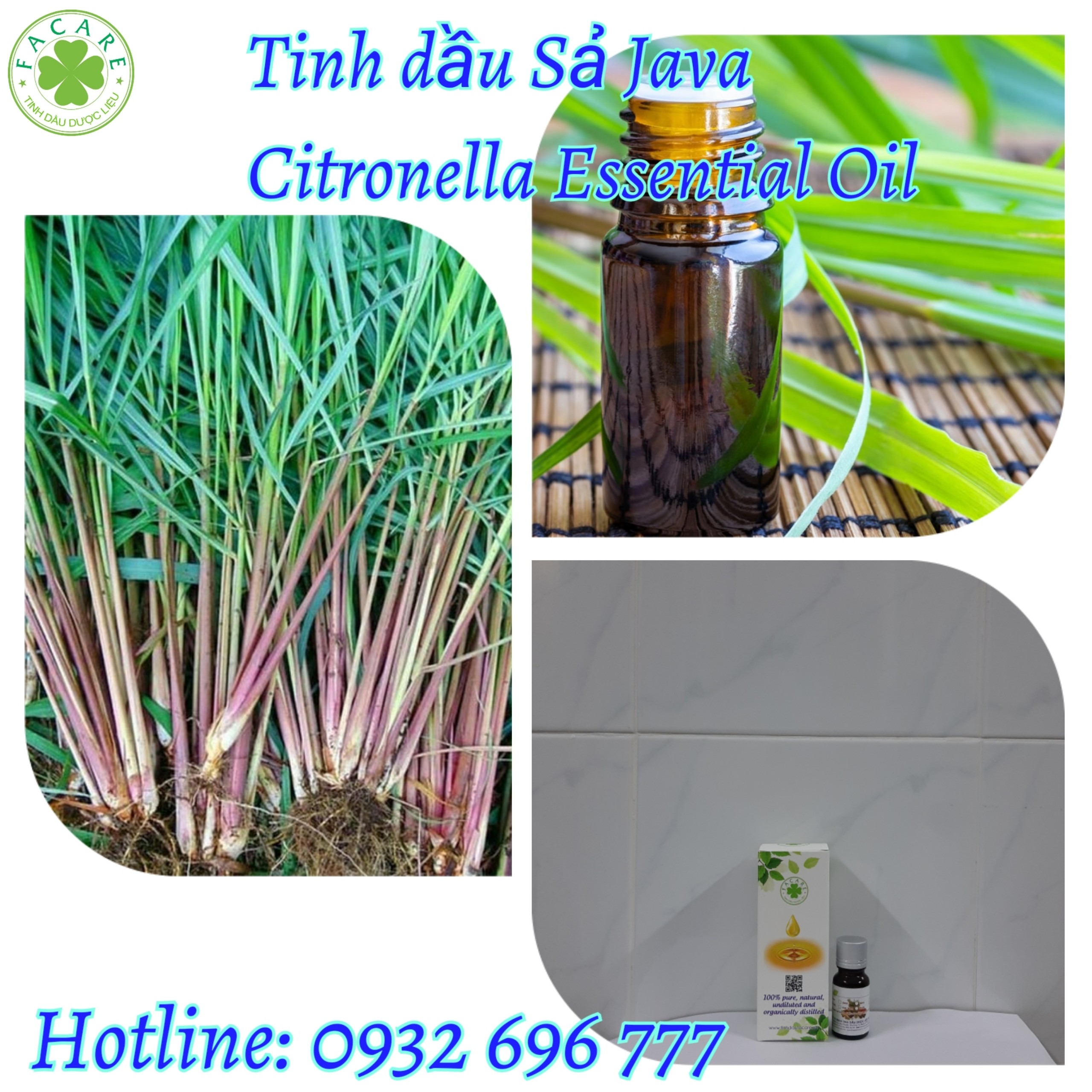 Tinh dầu Sả Java Citronella essential oil giúp khử mùi, thơm phòng, xua đuổi côn trùng hiệu quả - 10ml
