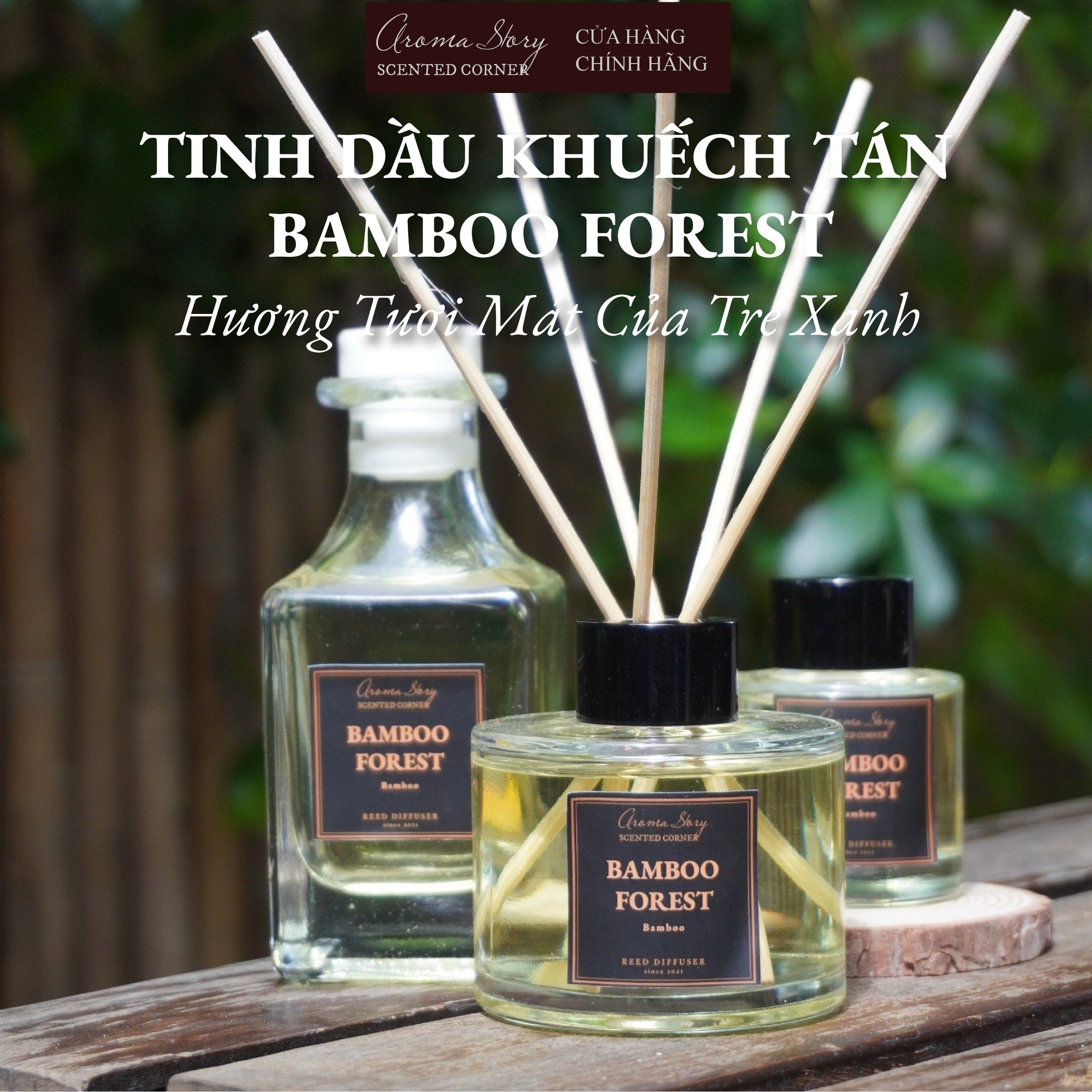 Tinh dầu khuếch tán Bamboo Forest hương tre Aroma Story size 50ml/100ml