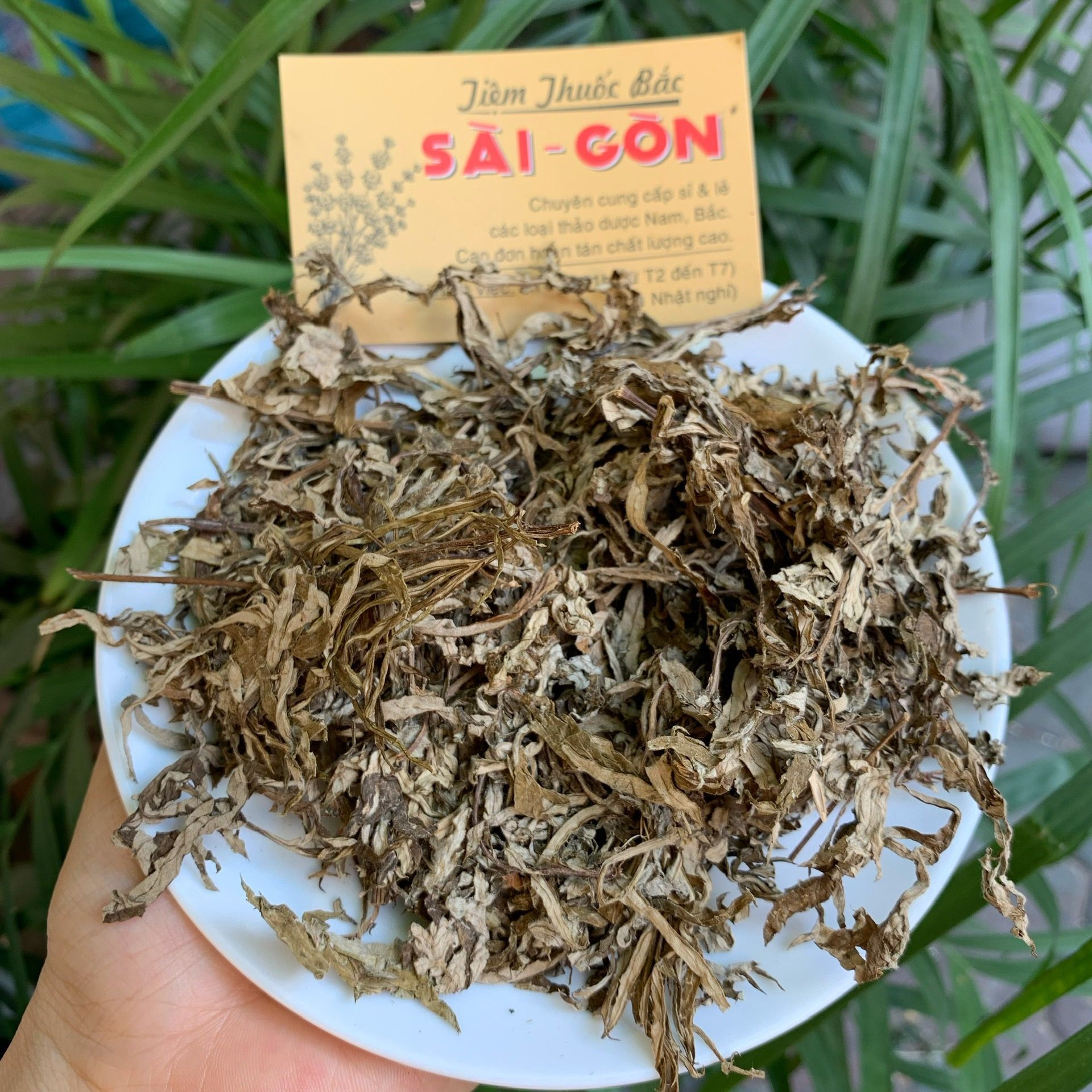 Bắc tử thảo 1kg