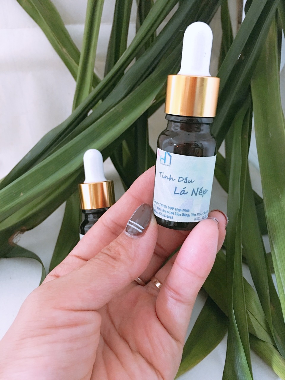 Tinh dầu lá nếp thơm lọ 10ml